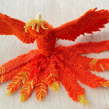 Adult phoenix