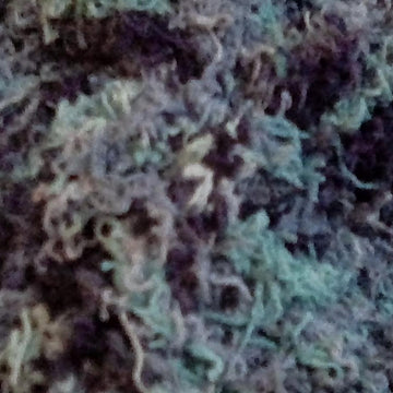 Circular Scrubby