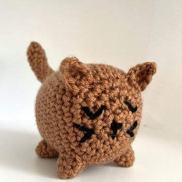 Purrkin The Sleepy Cat