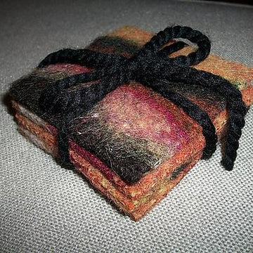 Lizard Ridge Coasters
