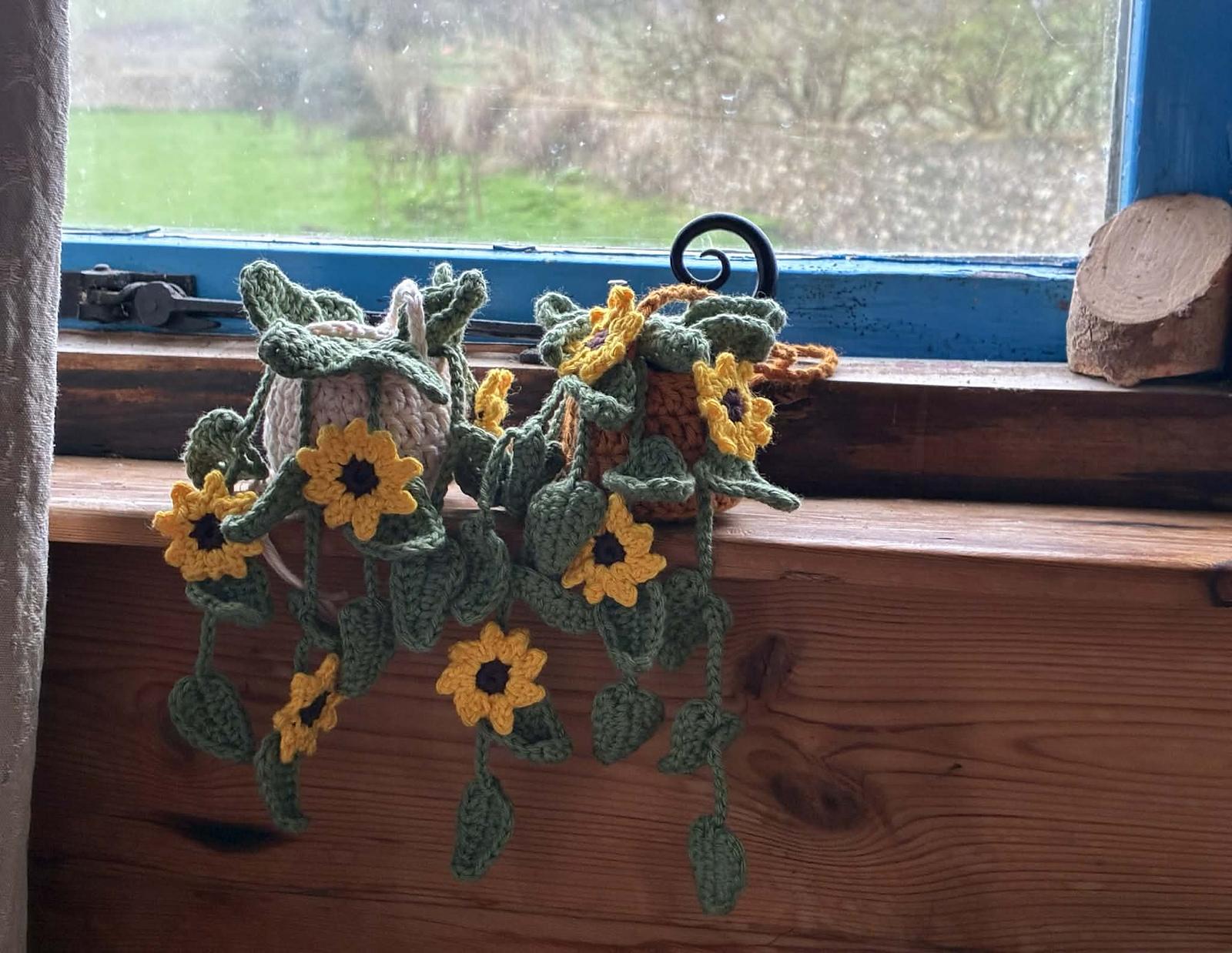Mini Hanging Sunflower Plant