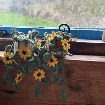 Mini Hanging Sunflower Plant