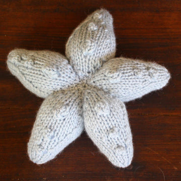 Sea Star