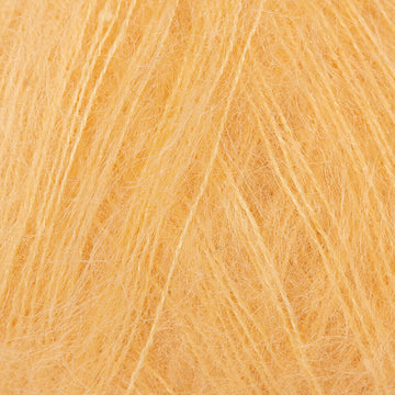 Apricot (719)