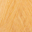 Apricot (719)