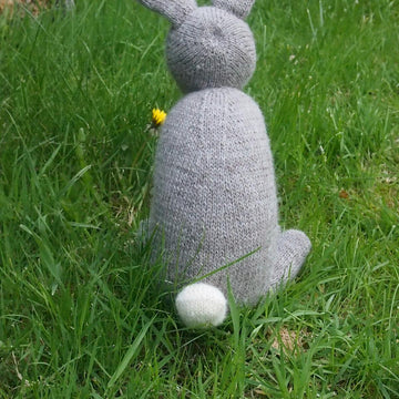Betty Bunny