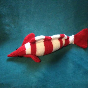 Fish, finding Nemo