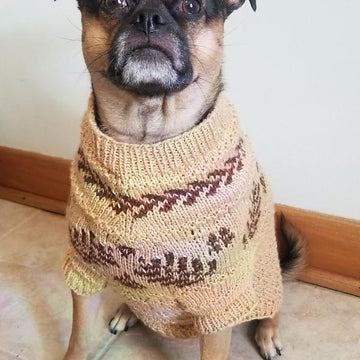 Dog Dream Sweater