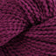Plum (16)