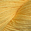 Lemon (106)