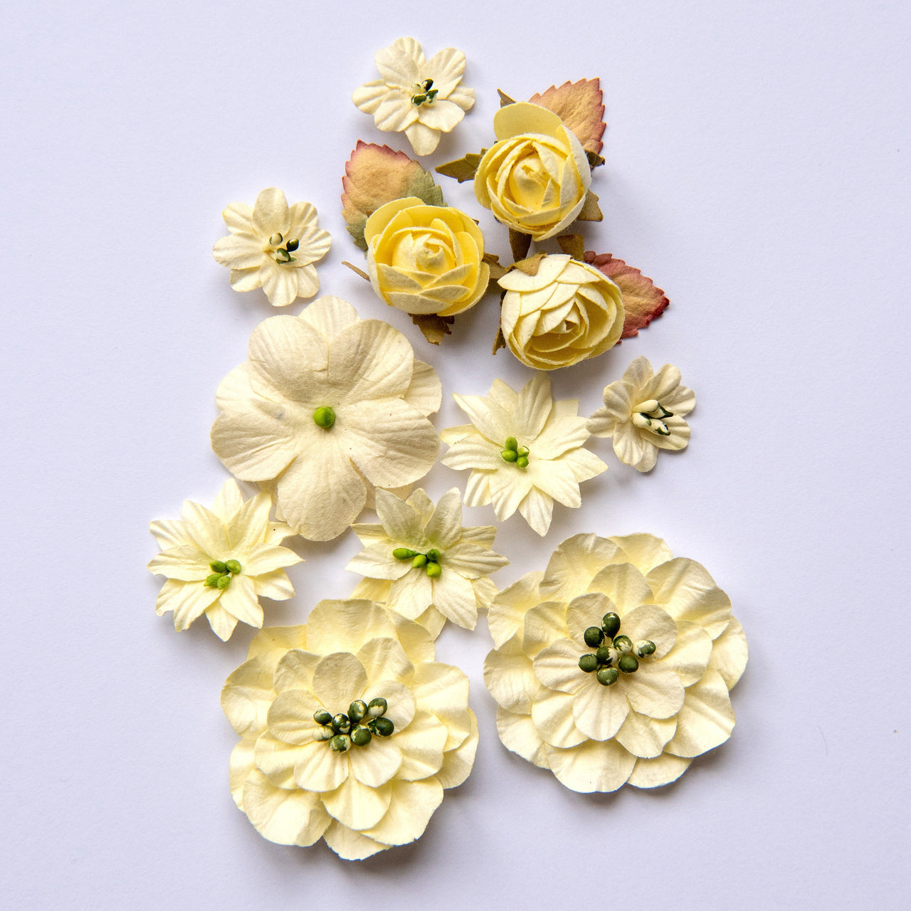 49 And Market Country Blooms 12/Pkg - Cream