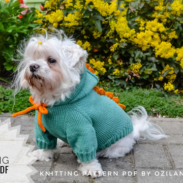 Dragon dog hoodie