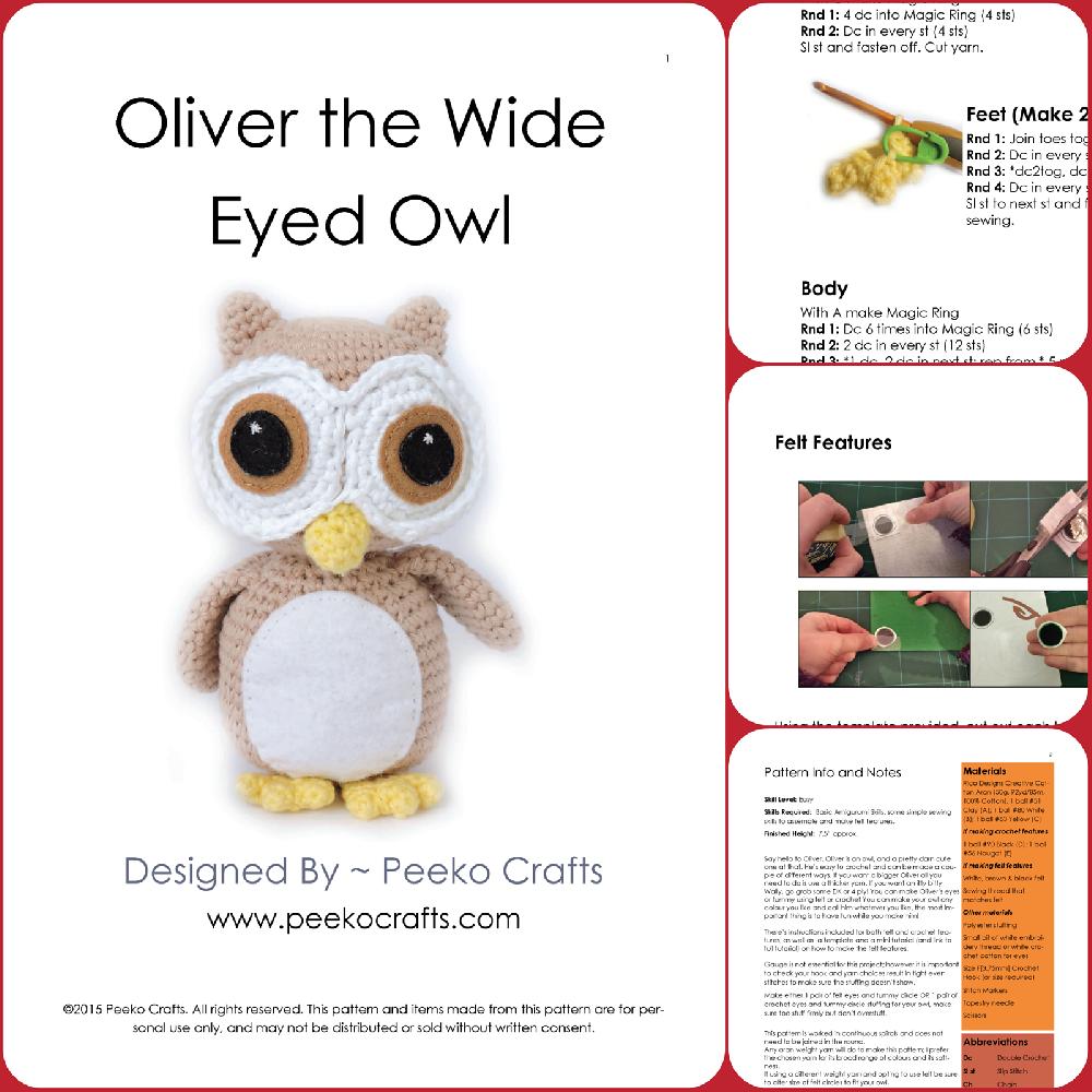 Oliver the Wide Eyed Owl