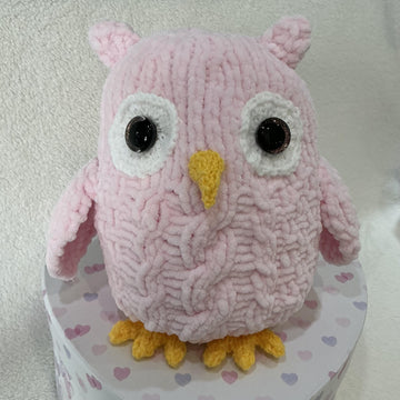 Wise Owls