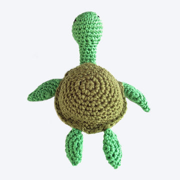 Shelby The Turtle