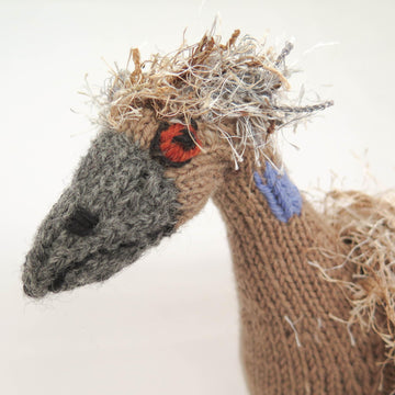 Australian Emu Bird