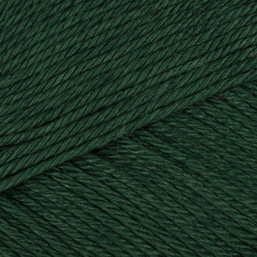Forest (088)