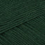 Forest (088)