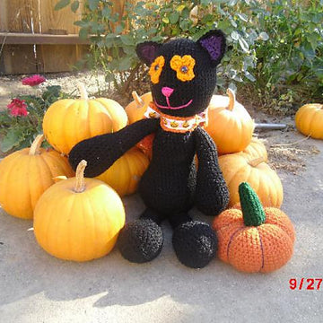 Midnight the Halloween Cat