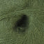 Basil (3437)