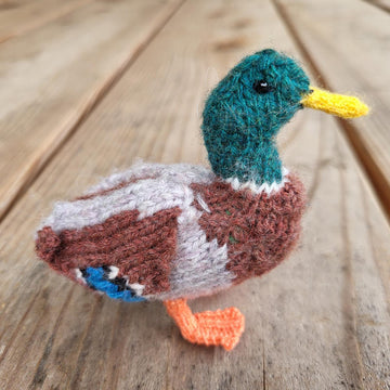 A Plump of Ducks