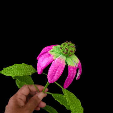 Crochet Echinacea/Cone flowers