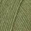 Moss Green (200743)