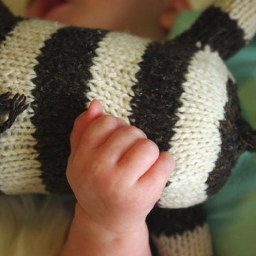 Zienna the Zebra