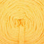 Lemon Yellow (35)