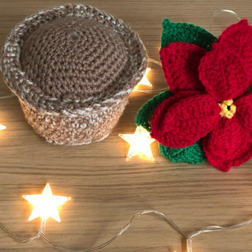 Poinsettia and Pot