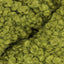 Olive (9)