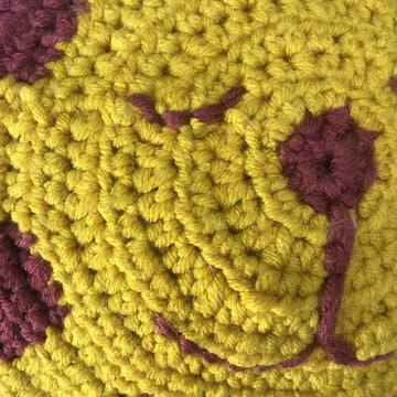 Llewelyn the Lion Cushion