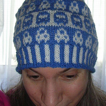 Bus and car beanie