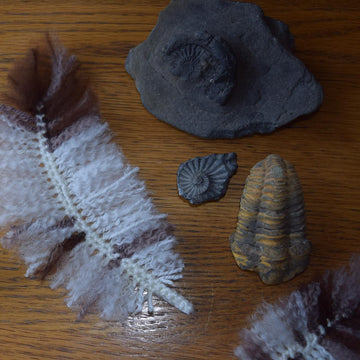 Feathers