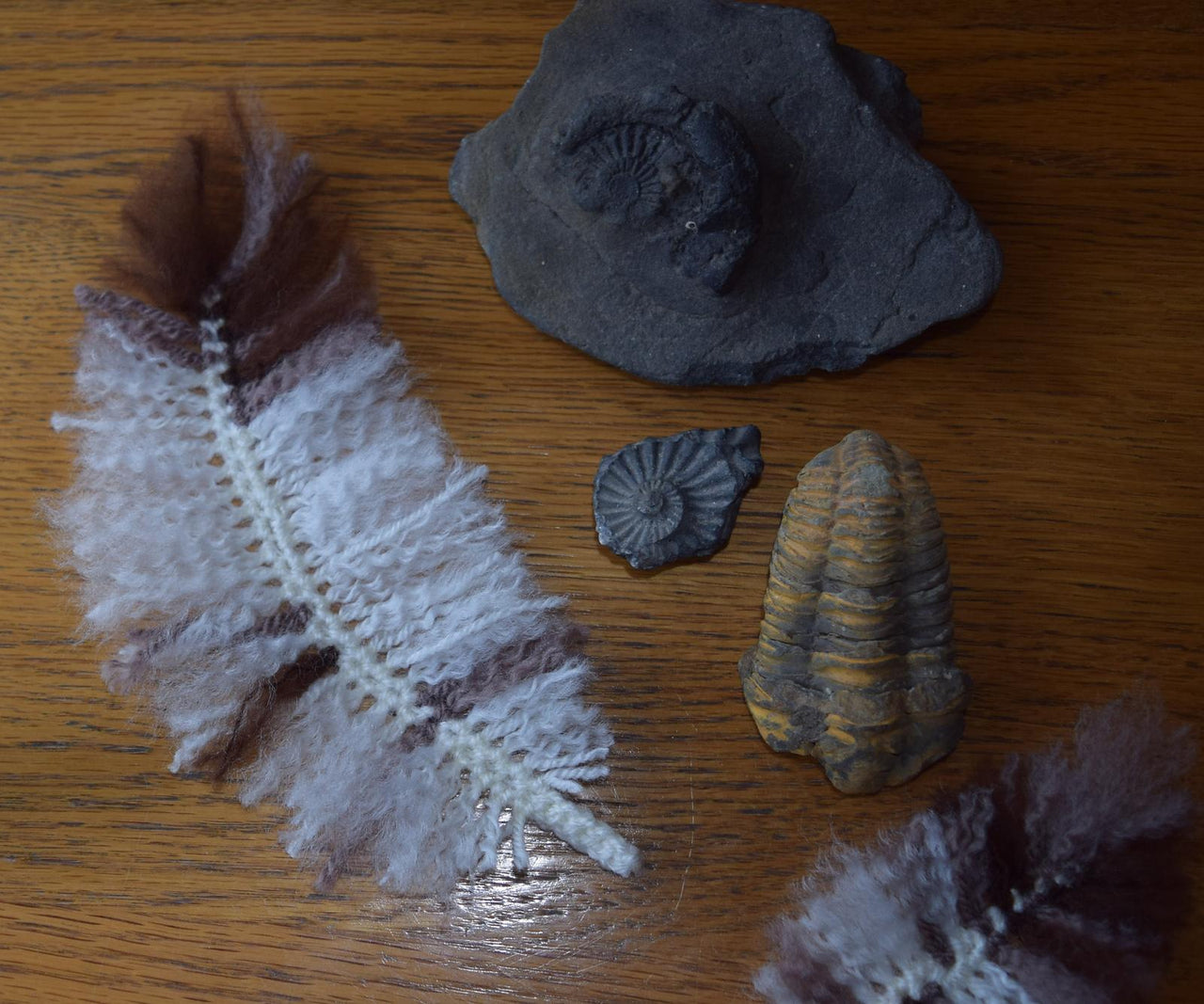 Feathers