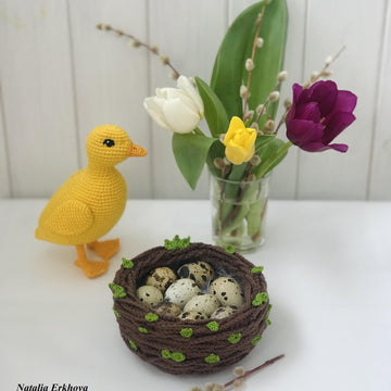 Spring nest