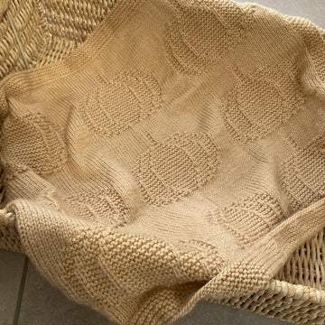 Autumn Pumpkin Knit Blanket
