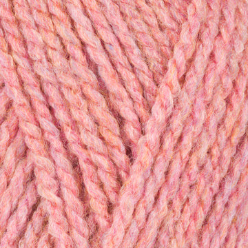 Wild Salmon (3745)