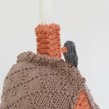Home Sweet Home Tea Cosy