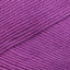 Phlox (00366)