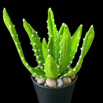 Crochet Aloe Vera plant