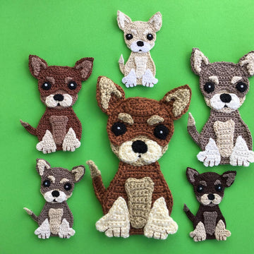 Chihuahua