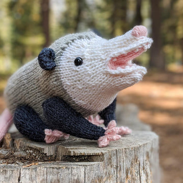 Opossum Family
