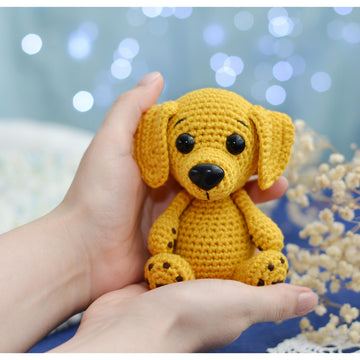 Dog Labrador or Golden Retriever