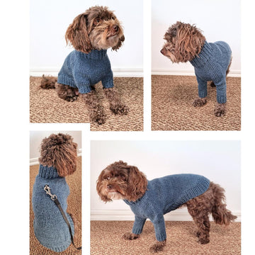 Snug Pup Pullover