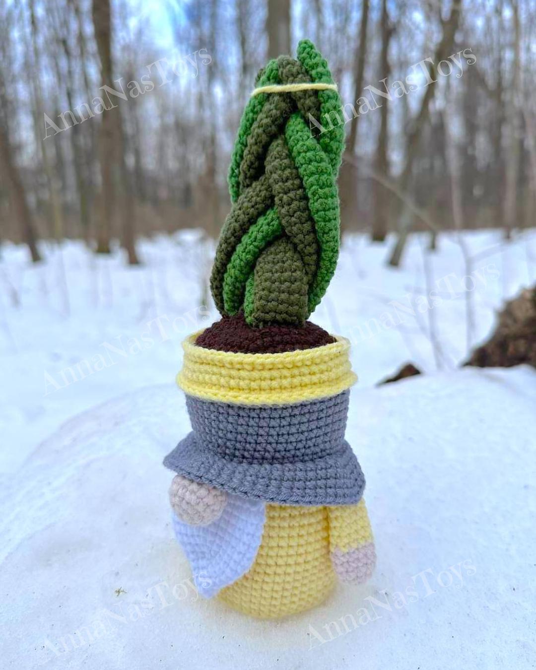 Gnome succulent-sansevieria 2