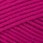 Fuchsia (70813)
