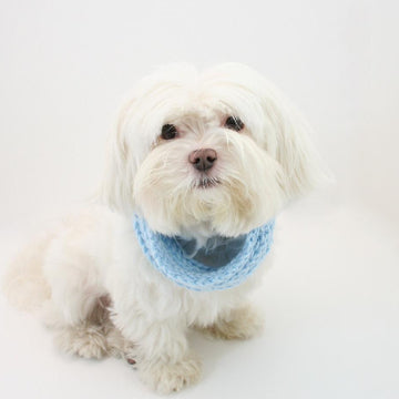 P03 Knit Dog Cowl