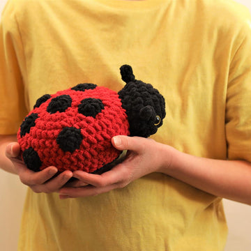 Ladybug