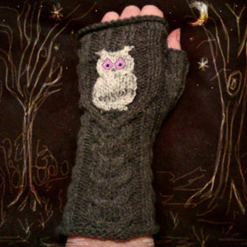 Owls in the Woods